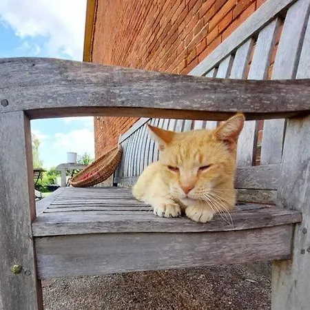 In Tatil Evi Lubberstorf